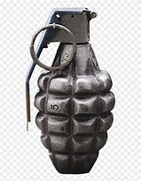 Image result for Blank Pinapple Grenade