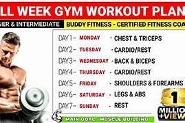 Image result for Workout Routine to Gain Muscle