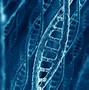 Image result for Abstract DNA Wallpaper 4K