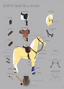 Image result for Horse Tack List