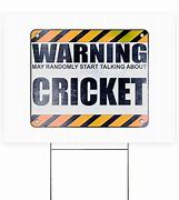Image result for Large Cricket Sign