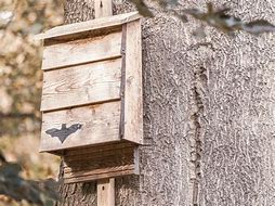 Image result for Paint Bat Signal On Bat House