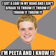 Image result for Hunger Games District Memes
