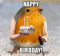 Image result for Happy Birthday Meme