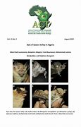Image result for Algeria Bat Species