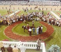 Image result for Seattle Slew Kentucky Derby
