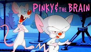 Image result for Pinky and the Brain Ying Yang