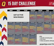 Image result for 15 Day Challenge Iron Supplement