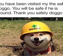 Image result for Safety Doggo Image
