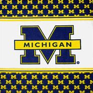 Image result for Michigan Wolverines Hockey Logo