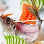 Image result for Sashimi Dishes
