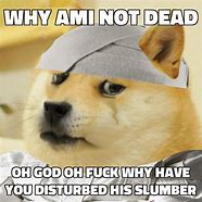 Image result for Doge Pain Meme