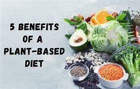 Image result for Health Benefits Plant-Based Diet