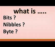 Image result for Bytes and Nibbles Bublbs