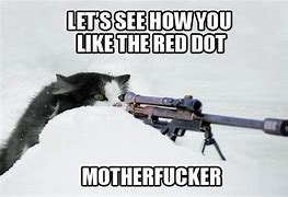 Image result for Cat Pointing Gun Meme