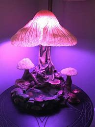 Image result for Mushroom Jar DIY
