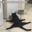 Image result for Cat Memes 2017
