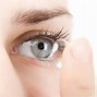 Image result for Contact Lens Supporter