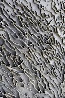 Image result for Tactile Texture Art