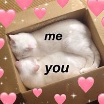 Image result for Cute Message Meme