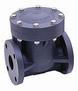 Image result for PVC Check Valve 4 Inch