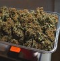 Image result for Black OG Kush