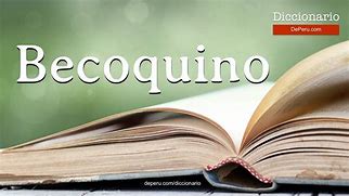 Image result for becoquino