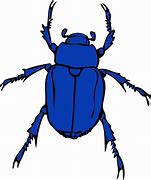 Image result for Cricket Bug Clip Art