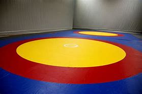 Image result for Wrestling Training Mats