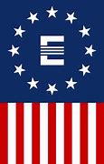 Image result for Fallout USA Enclave Flag