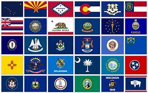 Image result for SF State Flag