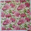 Image result for Pretty Paper Napkins for Decoupage