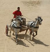 Image result for Roman Chariot Racing