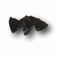 Image result for Painted Bat