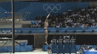 Image result for Olympic Diving Fail