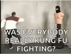 Image result for Kung Fu Belt Colors