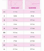 Image result for Smallest to Diggest Bra Sizes