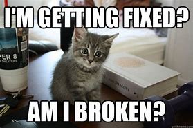 Image result for I Fixed It Animal Memes