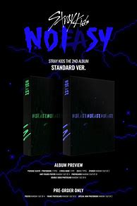 Image result for Stray Kids No Easy Poster