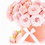 Image result for Pictures of Pink Roses