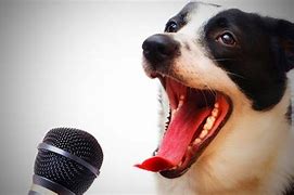 Image result for Puppy Singing