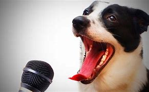 Image result for Funny Dogs Singing