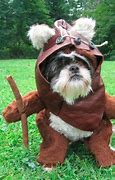 Image result for Ewok Costume for Small Dog