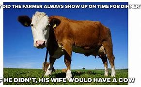 Image result for Cow Milk Meme