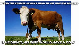 Image result for The First Person to Milk a Cow Meme