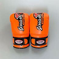 Image result for Boxing