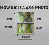 Image result for 4X6 True Size