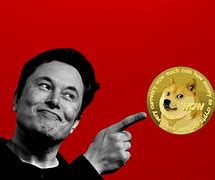 Image result for Elon Musk Dogecoin Hoodie