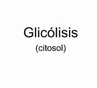 Image result for glic�lisis