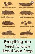 Image result for Your Poop